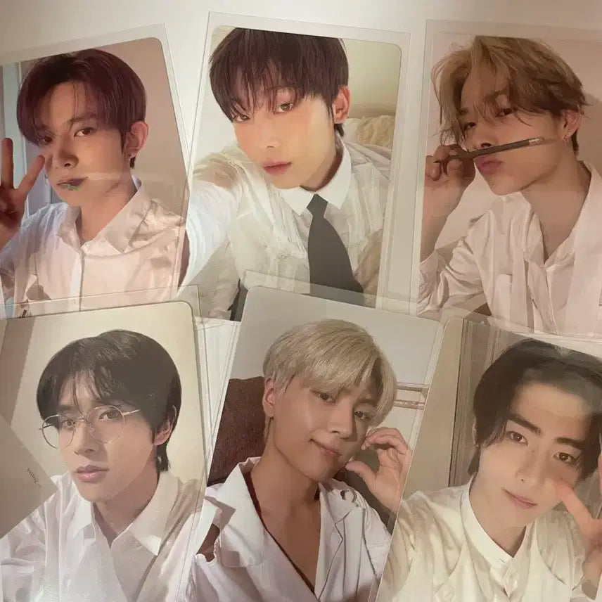 엔하이픈 2024 시그 시즌그리팅 포카 일괄가격 셀카포카