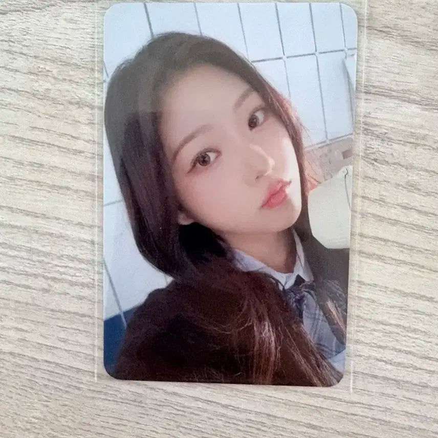 스텔라 포카 디어마이뮤즈 양도