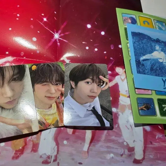 엔위시 컬러 초회한정반 료 재희 유우시