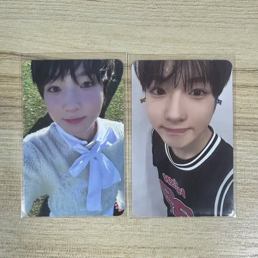 엔시티위시 사쿠야 포카 일괄