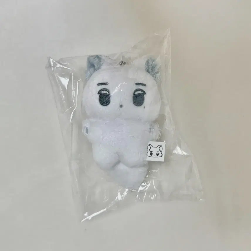 에스파 윈터 북극여우 직직이