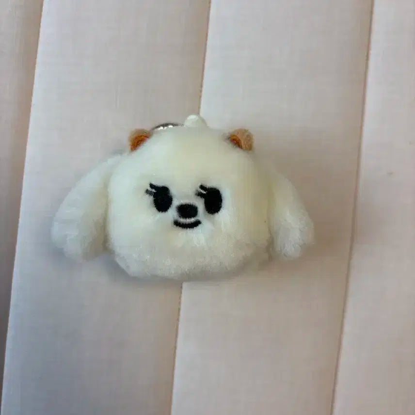 뿔바투 투바투 최범규 밤긋 페이스키링 판매