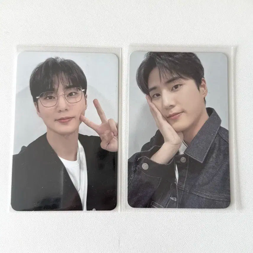 데이식스 웰쇼콘 벚꽃콘 영케이 입장포카 일괄