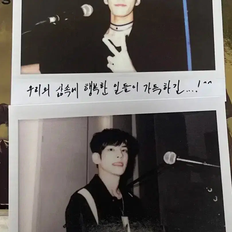 데이식스 선라이즈 원필 포카 짭 폴라