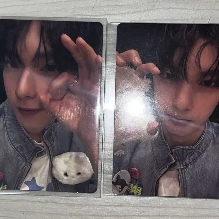 보플 전시회 팝업 최립우 1주차 7번 8번 양도 슈가하이 포카