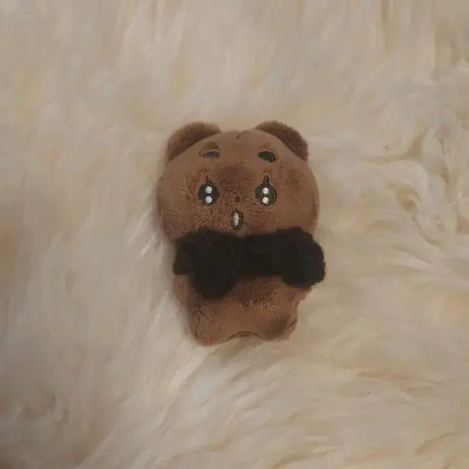 뽀송밤 투바투 범규 인형 뽀바투 양도