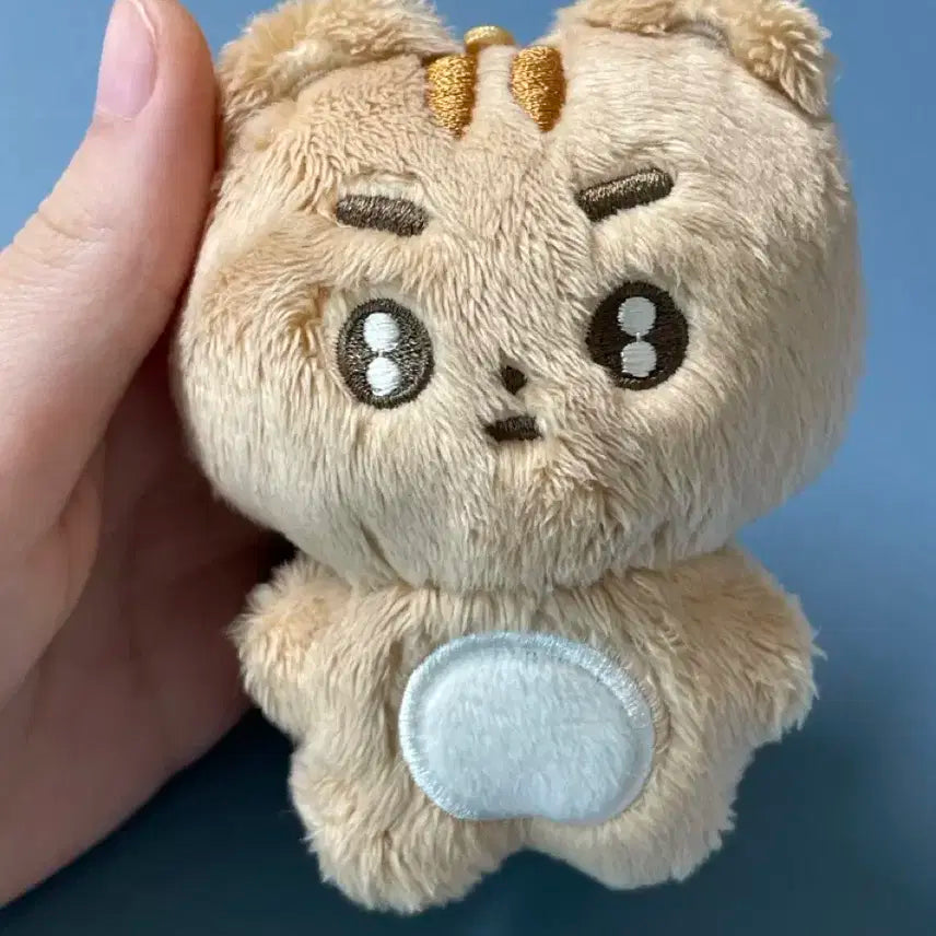 (급처) 뽀바투 뽀송텬 판매!!! 상태최상 ++범규 증사 같이드려요