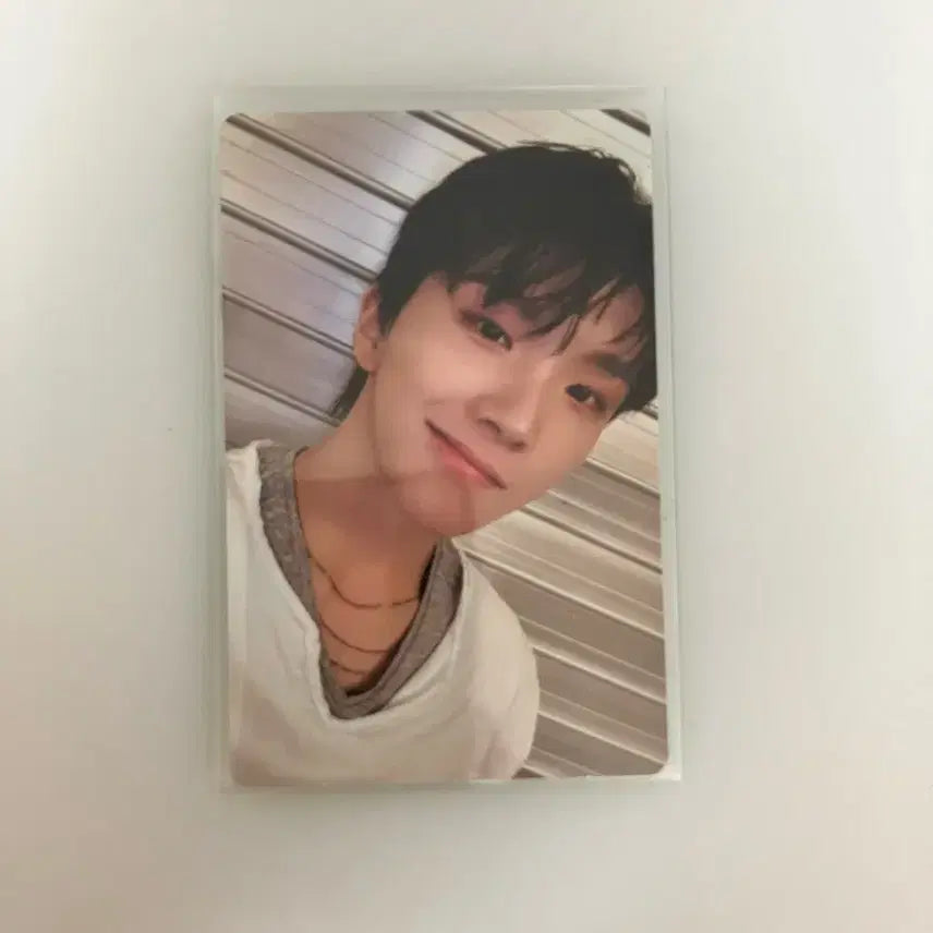 보넥도 노장르 노리밋 운학