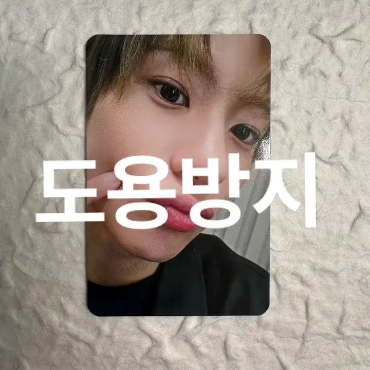 라이즈 riize 오디세이 앤톤 중국 특전 미공포 포카 yetimall