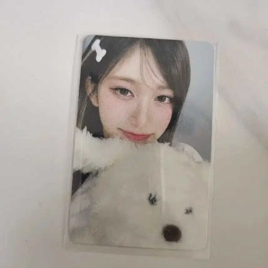 아이브 이서 시크릿 헬로라이브 특전 강아지 포토카드