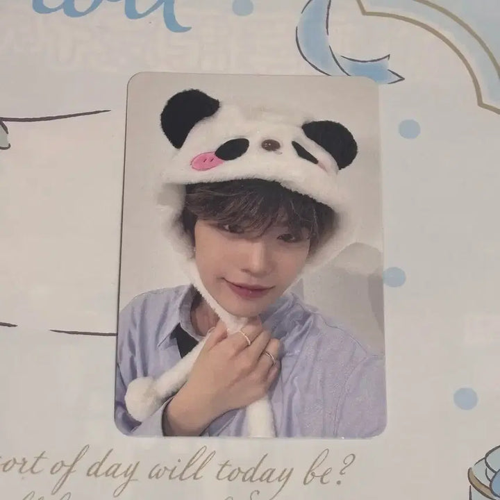 ZB1 김태래 판다 메이크스타 포토카드