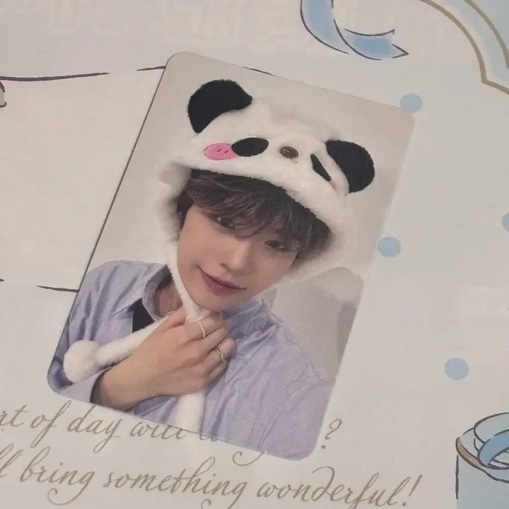 ZB1 김태래 판다 메이크스타 포토카드