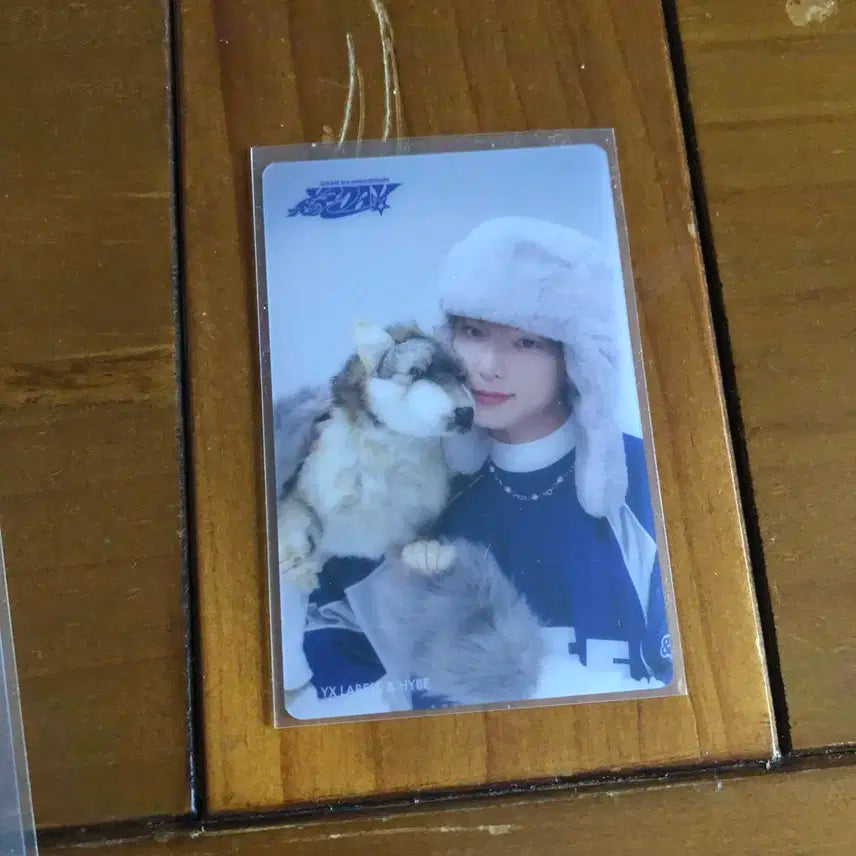 앤팀 하루아 앤데이 투명 클리어 포카 미공포 포카 양도 판매 분철