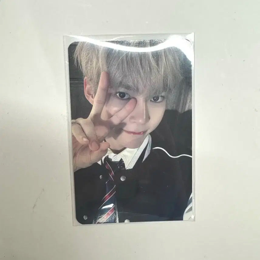 제베원 timeless world 중콘 성한빈 포카 양도