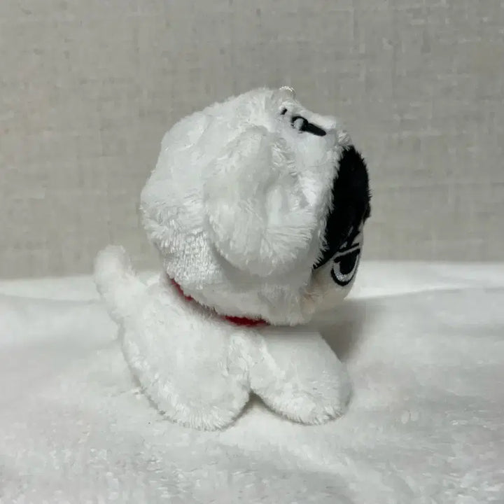 에스파 윈터 인형 직둥이