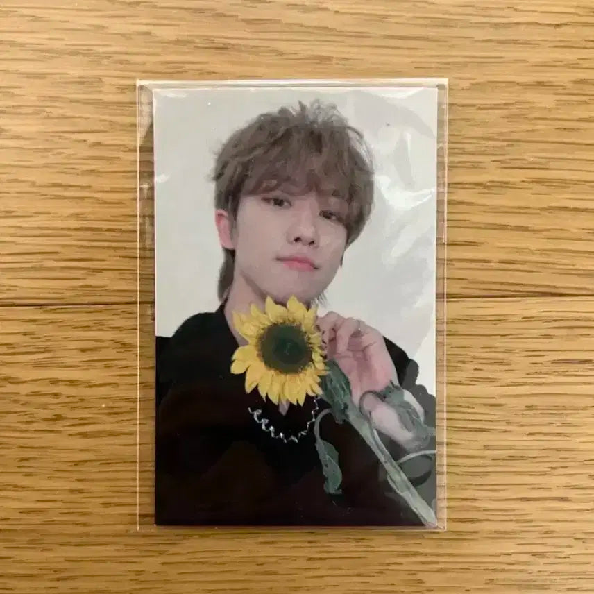 세븐틴 디에잇 홈 해바라기 공방포카