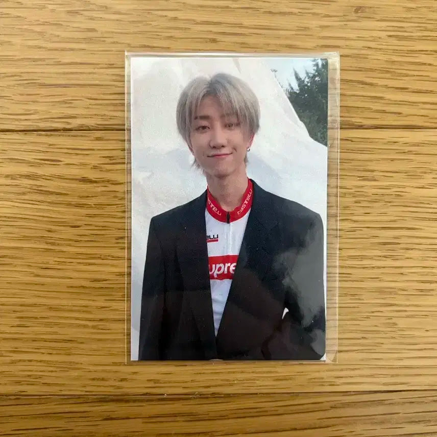 시븐틴 디에잇 독 팬싸인회 gv 포카