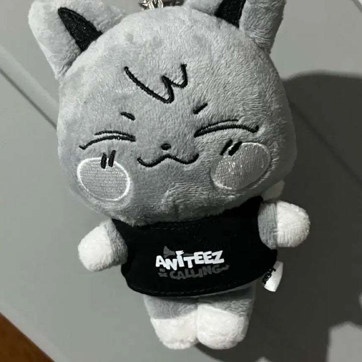 애니티즈인더콜링 시멘티즈 산덕이
