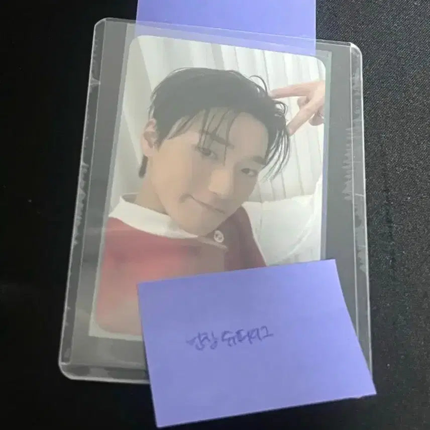 애니티즈인더콜링 시멘티즈 산덕이