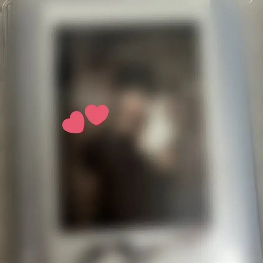 아이딧 장용훈 싸폴 싸인폴라 양도