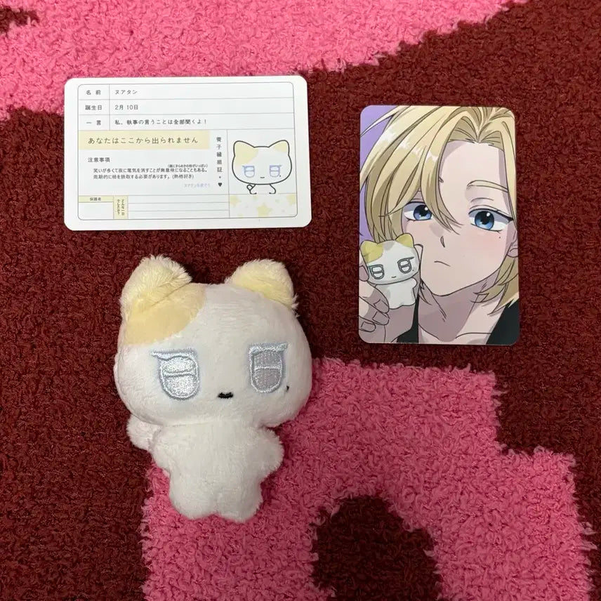 플레이브 노아 비공식 인형 플부땅 누아땅 개봉 양도