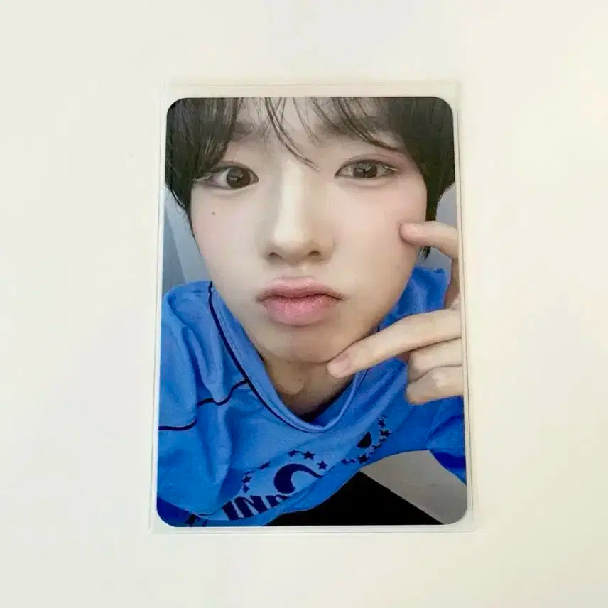 엔시티위시 팝팝 사쿠야 포카 양도합니다 !