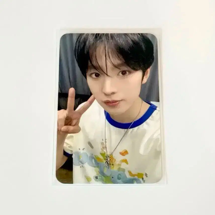 엔시티위시 유우시 에버랜드 포카 양도합니다 !