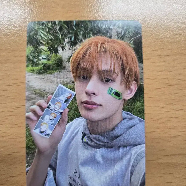 코르티스 건호 위버스반 앨포