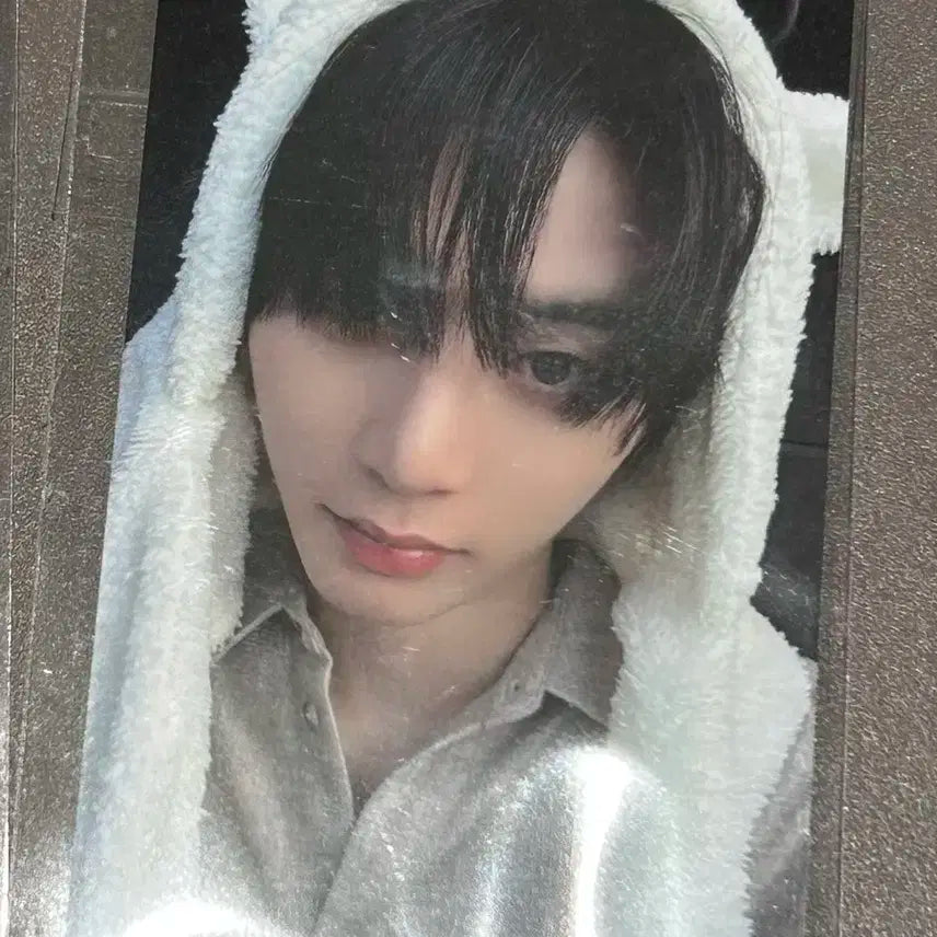 보넥도 디액션 카카오선물하기 특전 태산 포카