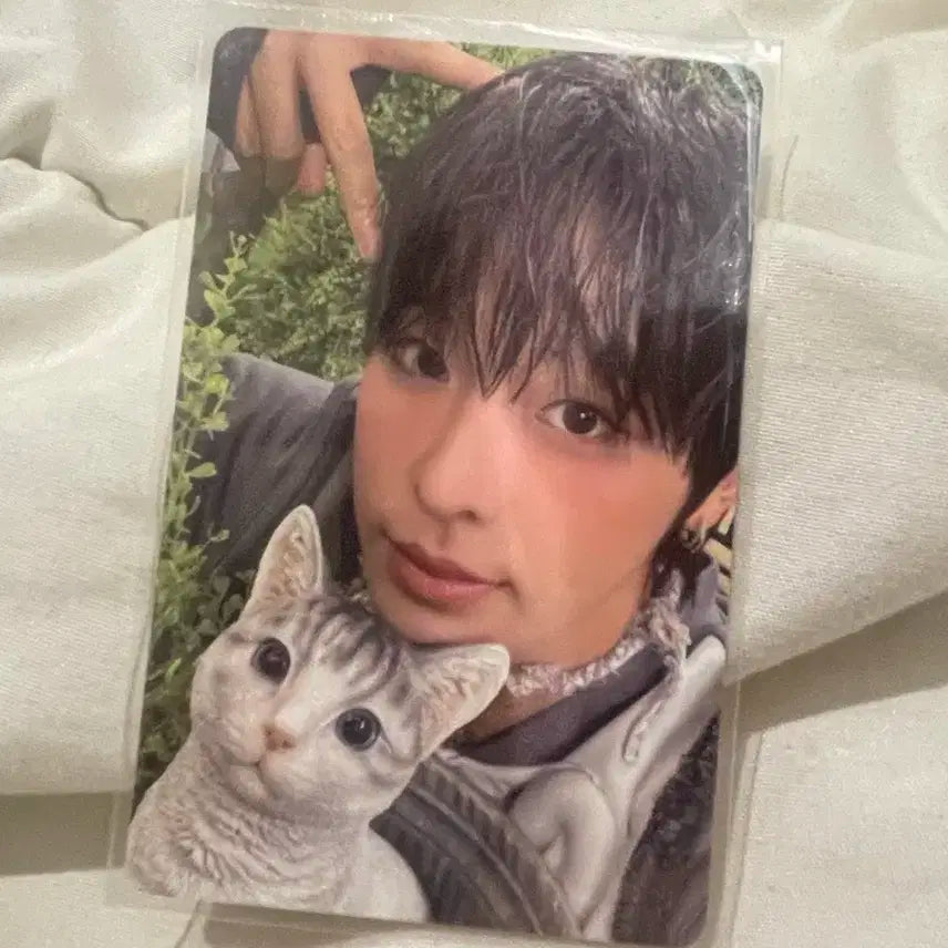 엔시티위시 컬러 쥬얼 앨범 리쿠 포카 판매