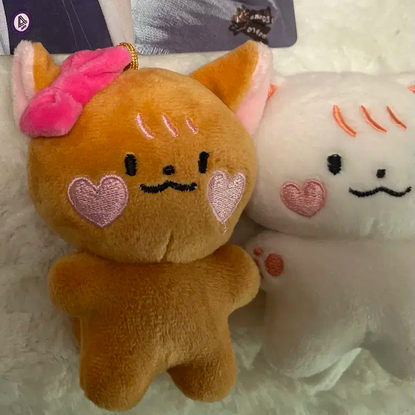 투바투 연준 인형 양도합니다