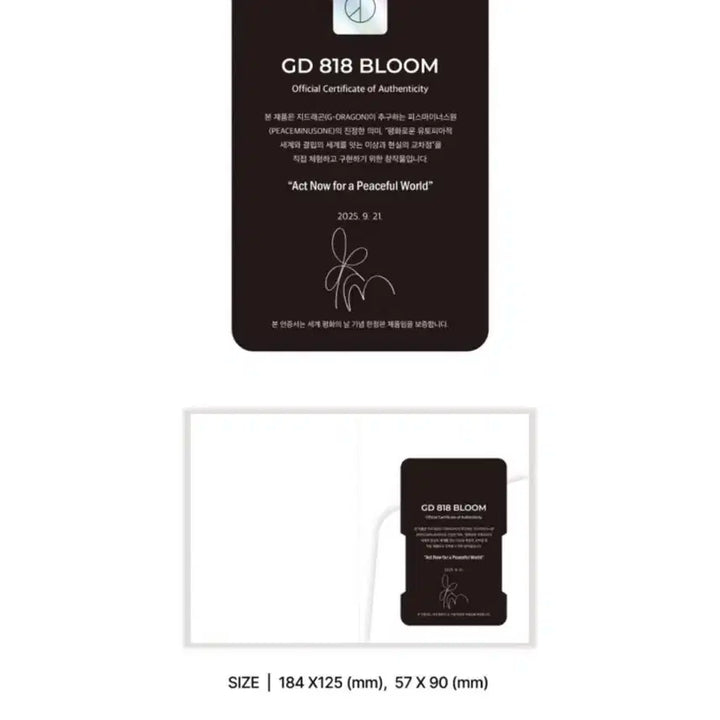 옥스포드 x 피스마이너스원 818 블룸 미개봉