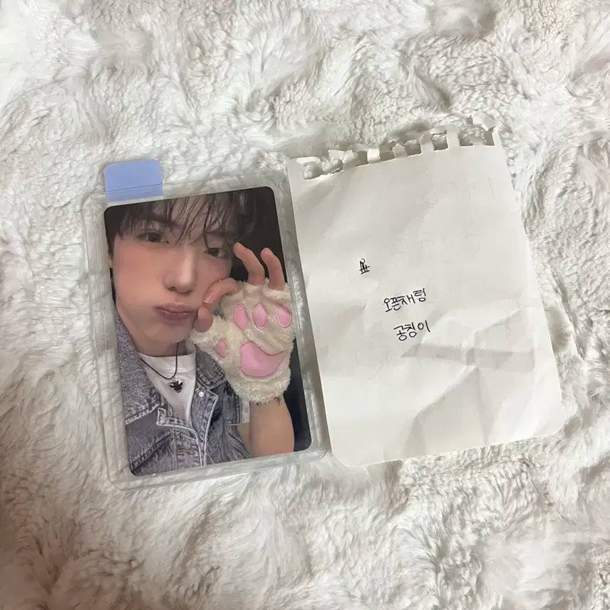 정상현 슈가하이 1주차 8번 포카 양도 보이즈플래닛 전시회 아카이브