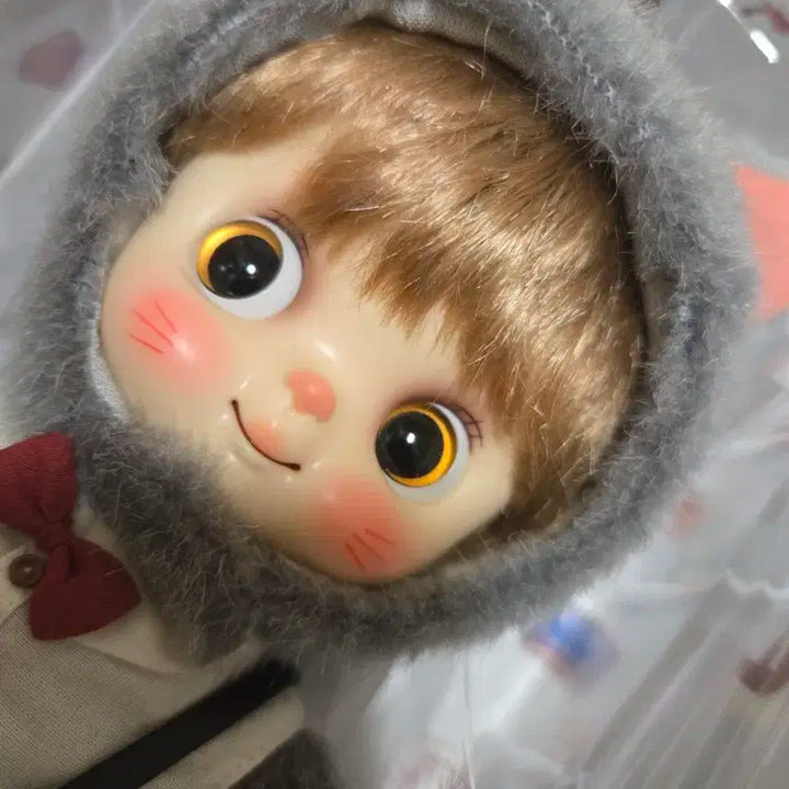 바사카돌 고양이 바루