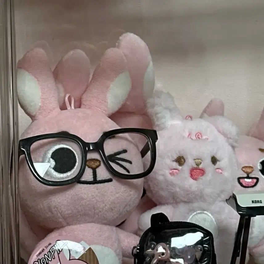 데이식스 데니멀즈 19필끼 재판버전 x 데니멀즈 원필