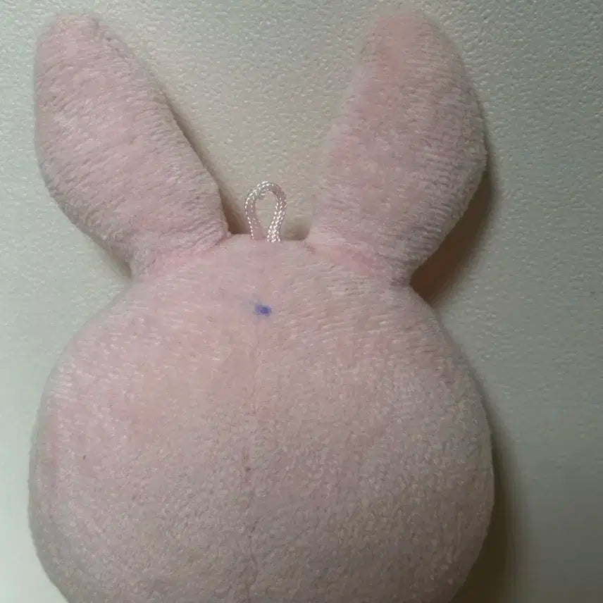 데이식스 데니멀즈 19필끼 재판버전 x 데니멀즈 원필