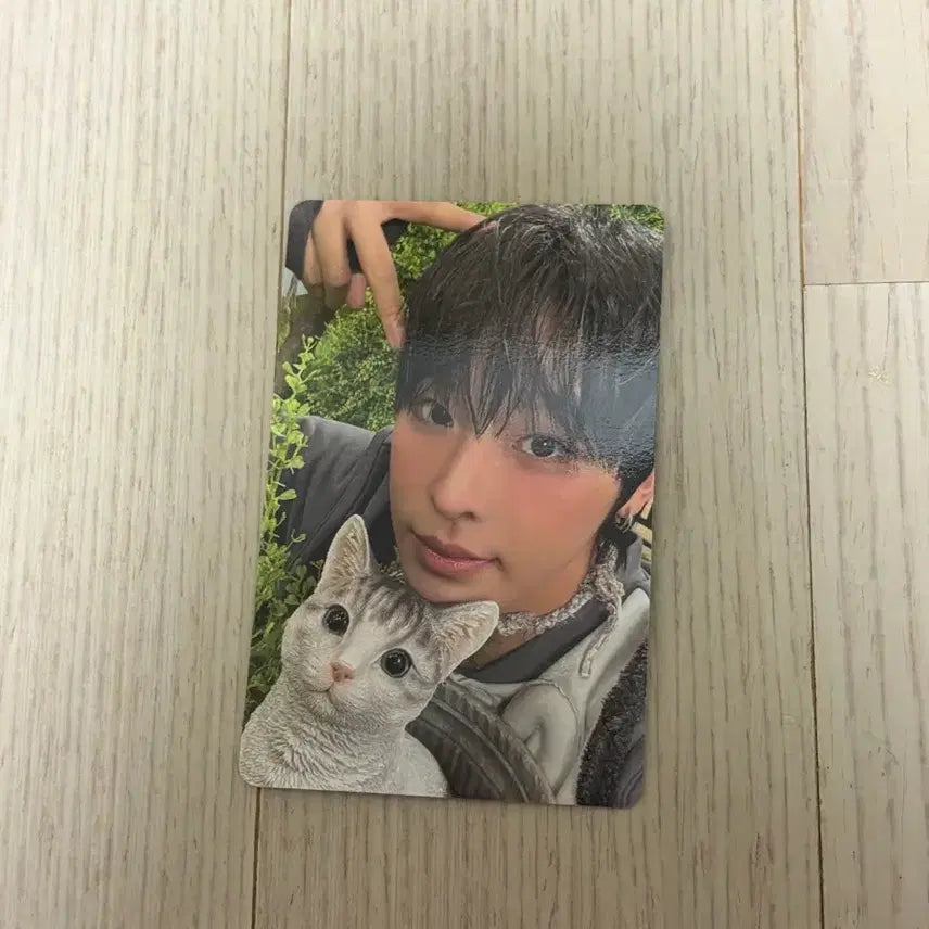 리쿠 컬러 포카