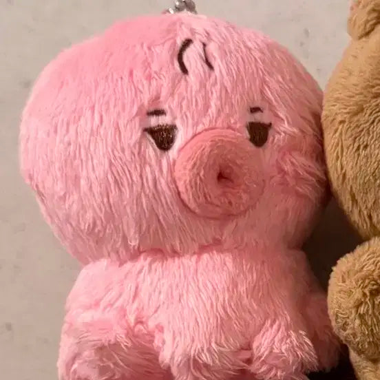 떤코양도합니다!!