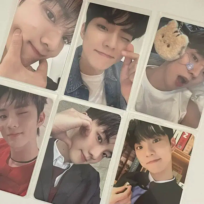 더보이즈 큐 지창민 포카 양도