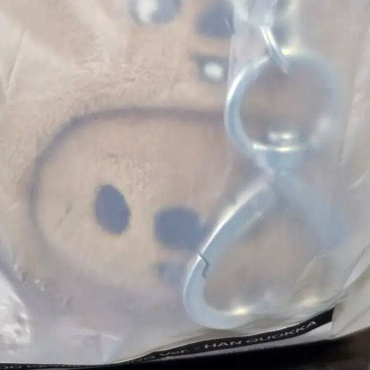 스트레이키즈 스키주 한쿼카 키링