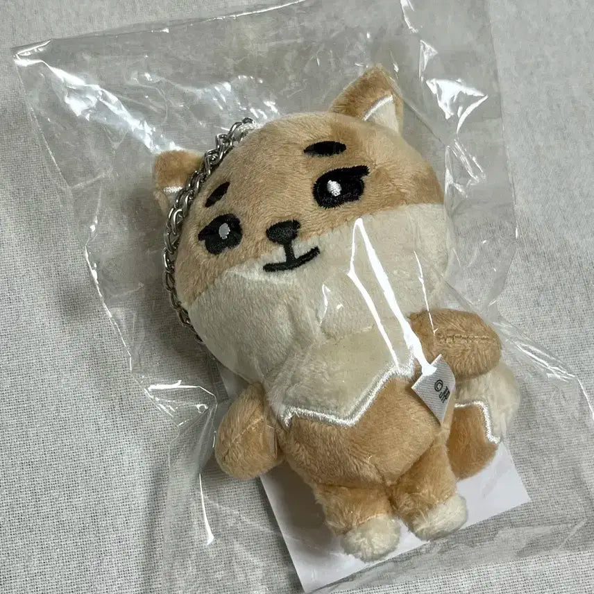 데이식스 포에버영 일본 엠디 백참 케 영케이