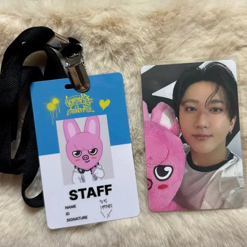 스키즈 팝업 돼끼 스태프증 + 4만원 구매 포카 (창빈)