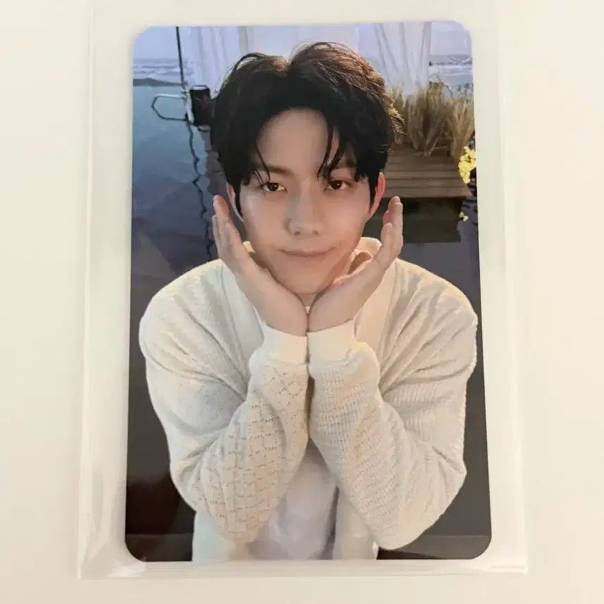 데이식스 데코세트 도운 포카