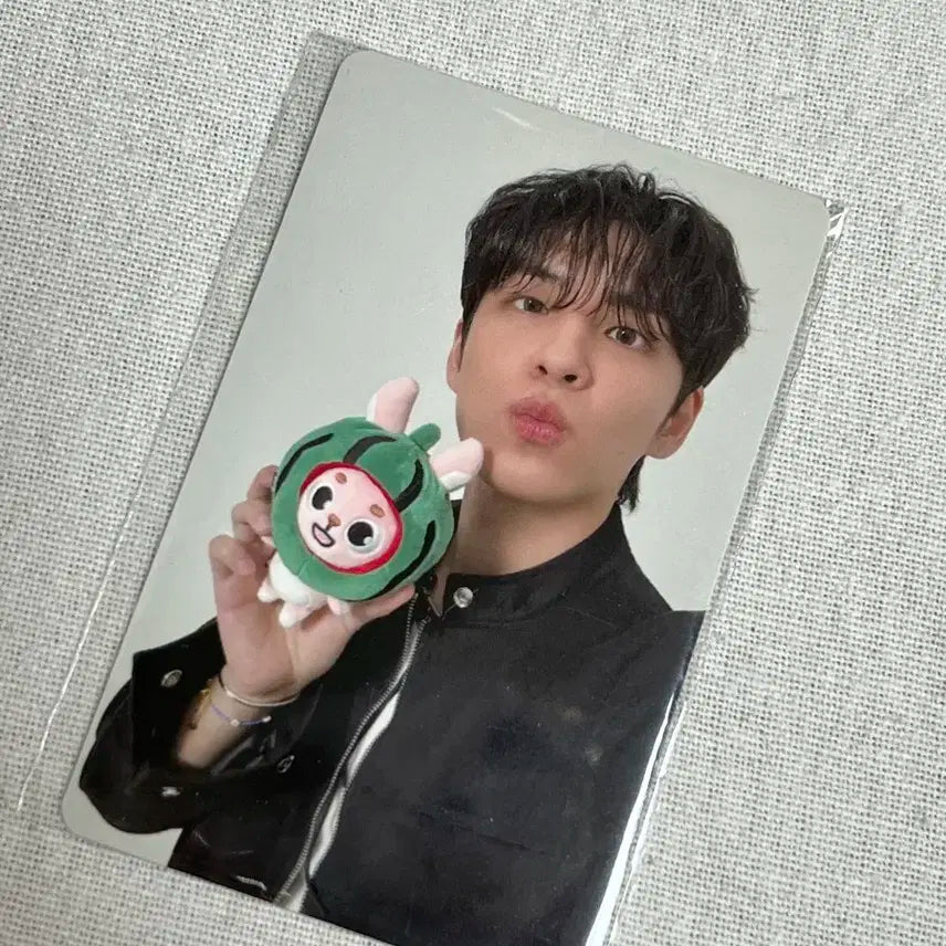 데이식스 포에버영 피날레 콘서트 4만원 포카 원필 미개봉