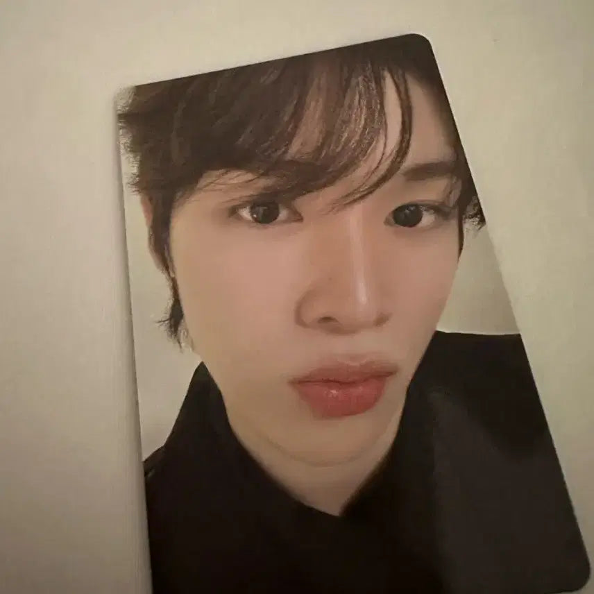 라이즈 2025 시즌그린팅 성찬 포카 팝니다