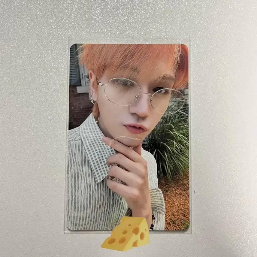 보넥도 리우 포카