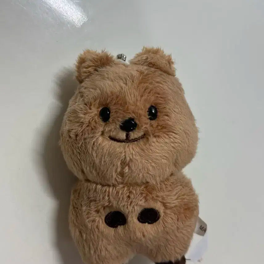 nct 127 정우 인형 쩡카