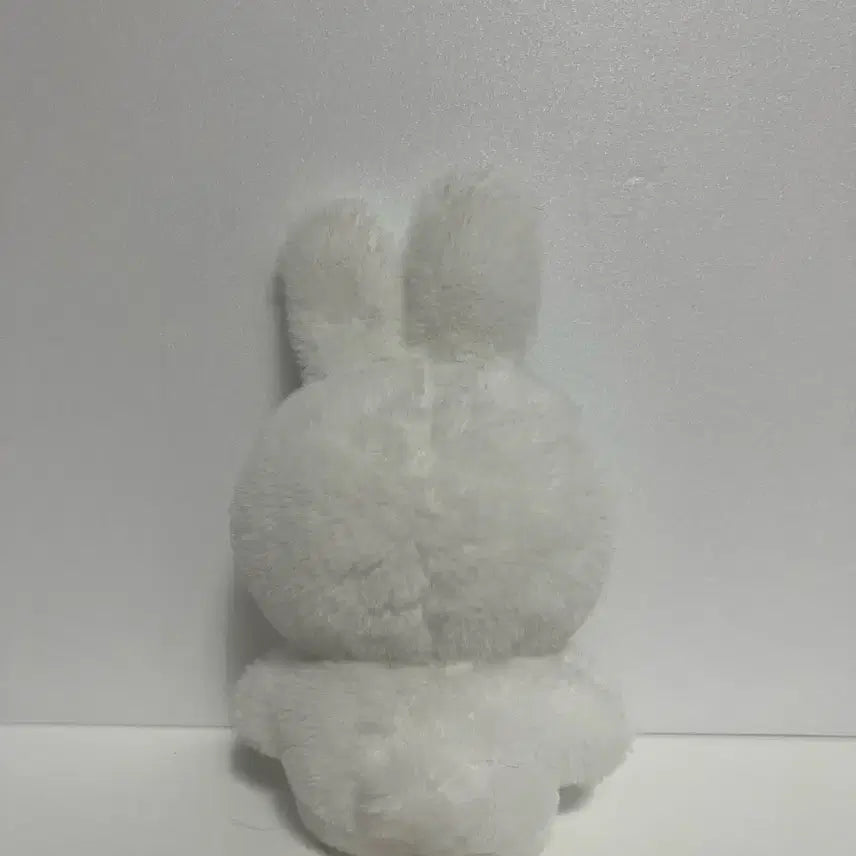 에스파 카리나 카토끼