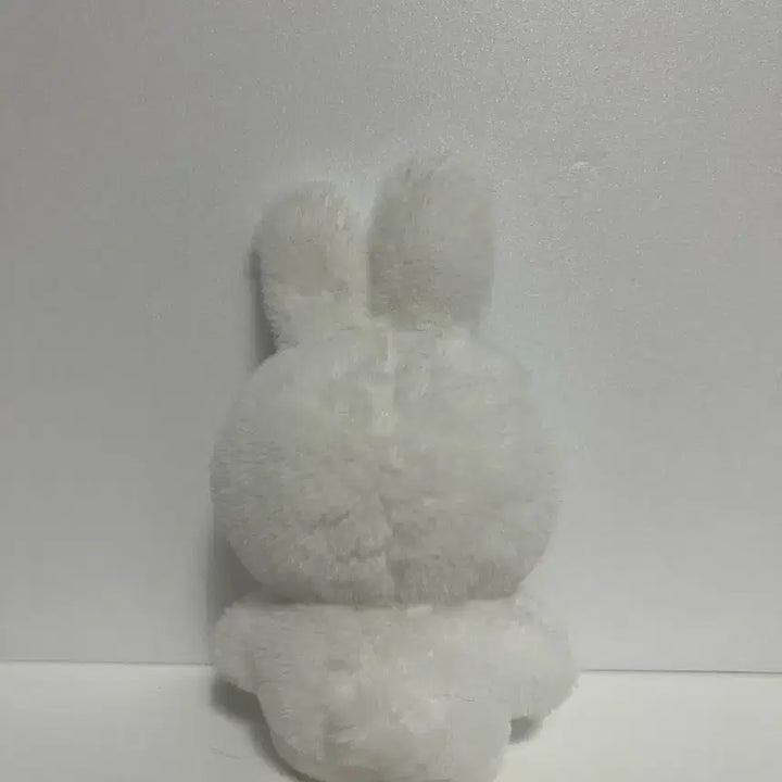 에스파 카리나 카토끼