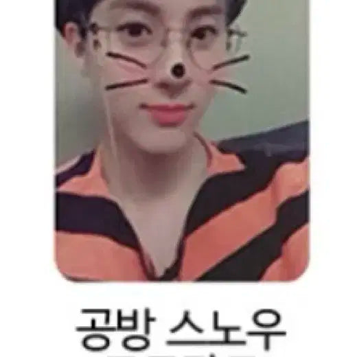 더보이즈 에릭 공방 스노우 포카